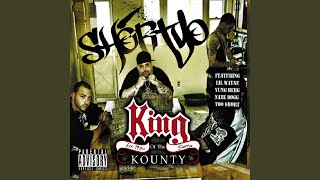 Stripper (feat. Yung Berg)