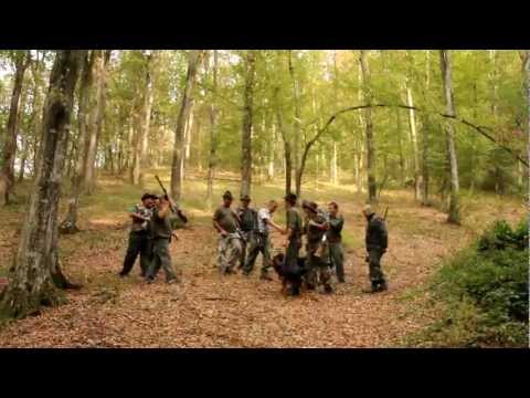 CRISTI SALASAN, MILE POVAN, RAZVAN TIMIS, IONUT LANGA - VANATORII, VANATORII HD