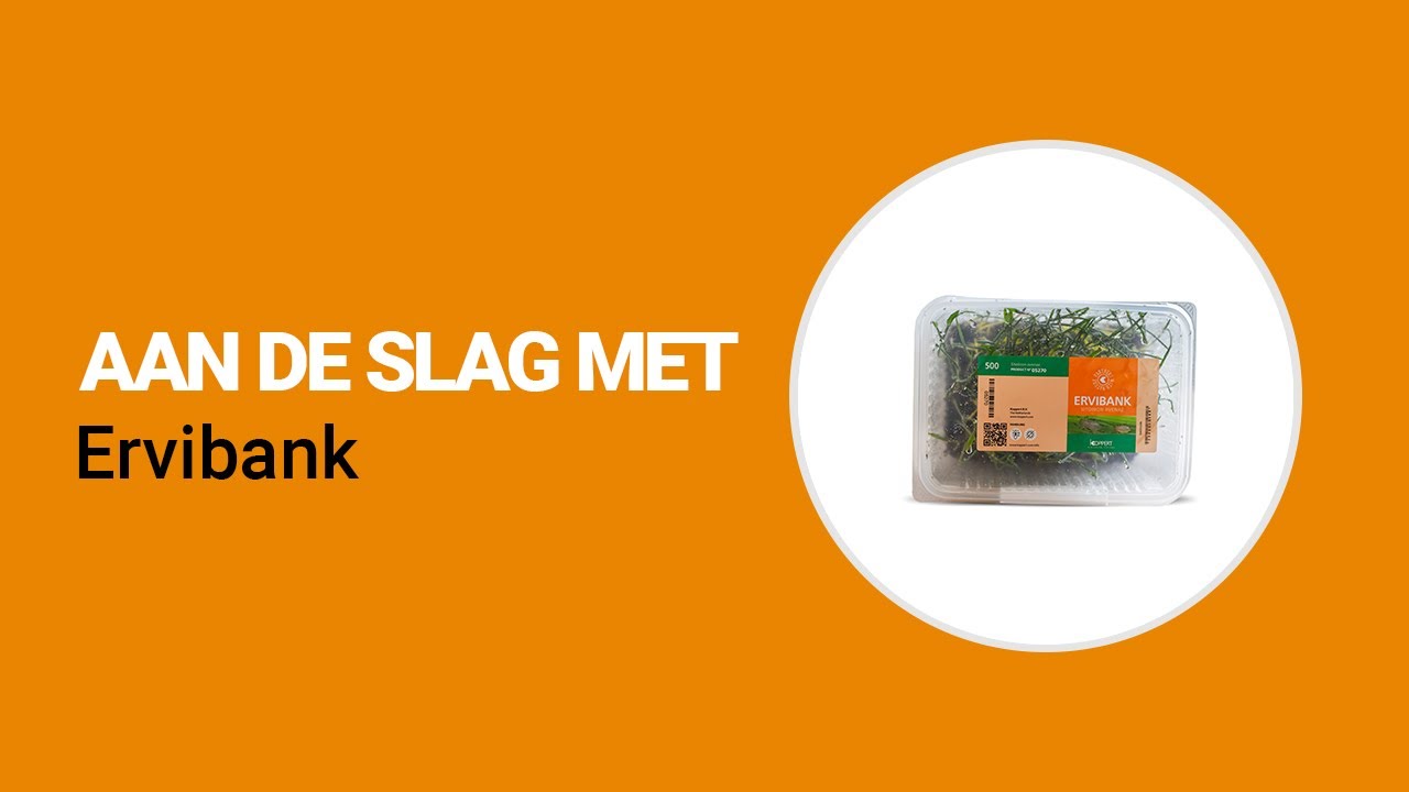 Video preview poster