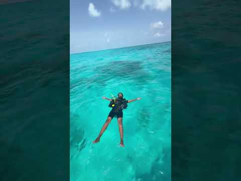 Scuba diving 🤿 Island #trending #viralvideo #sea