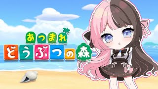 【 あつまれどうぶつの森 】マターリハピパラ【ぶいすぽっ！/橘ひなの】