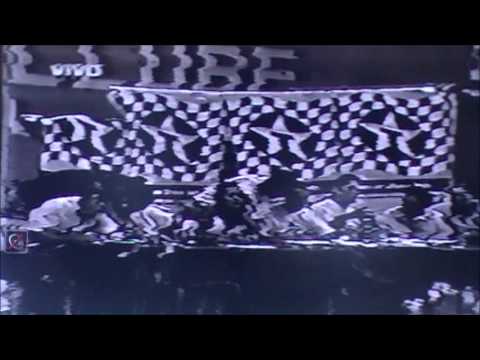 Royler Gracie vs Draculino (Vinicius Magalhaes) 1996 World BJJ Championship