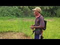 Sarang Sangkar Burung Ruak Ruak Wak Wak