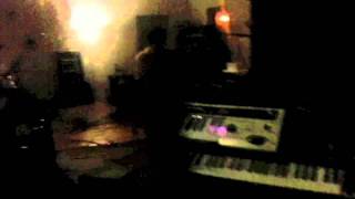 Jaya the Cat in the studio 2012