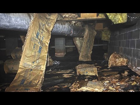 What's in Your Crawl Space?