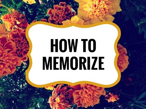 How to Memorize: 4 Tricks