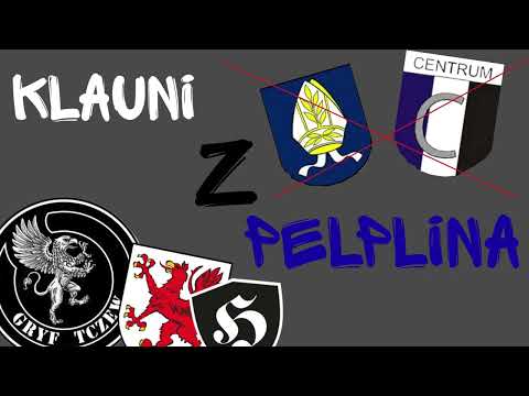 DISS NA CENTRUM PELPLIN