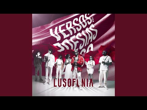 Versos & Poesias #5: Sintonia