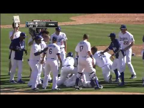 2012/08/05 Cubs lose on walk-off single