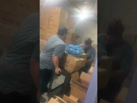HILARIOUS WORK FIGHT