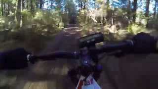 Riding North Track in Rangataua Forest on my Electric Mountain Bike.