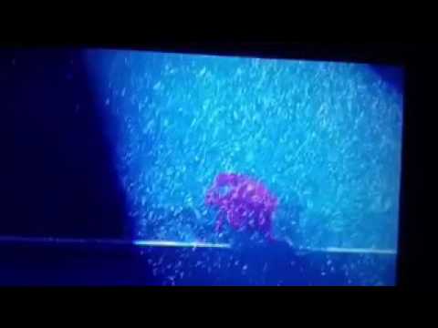 160813 SHINee Taemin dancing in the snow at SMTown