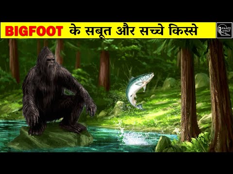 Bigfoot - यहाँ रहते हैं दिव्य जीव | Mysteries of Bigfoot | Real Stories of Bigfoot |