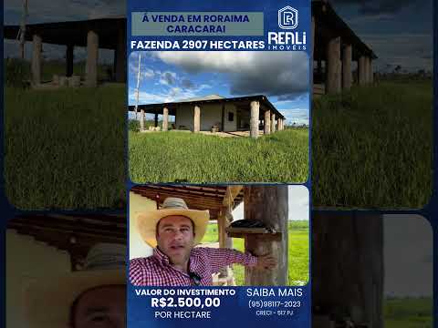 Fazenda em Roraima em CARACARAÍ 2907 hectares tá pedindo 2.500 por hectares