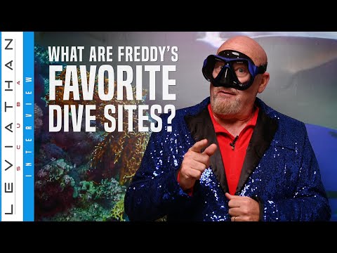 Favorite Dive Sites
