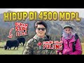 Kehidupan Peternak YAK Sapi Tibet Di Atas Gunung ️ ️ Hebatnya Tiongkok Dalam Mengelola Alamnya