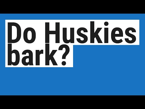 Do Huskies bark?