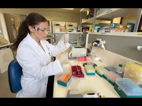 In Focus: Mapping the lung's fight – how the entire organ responds to infection