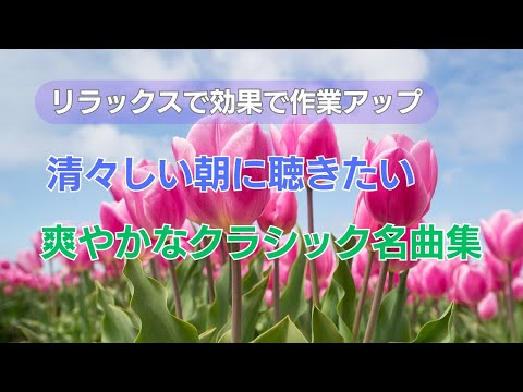 庭に休憩所を作る方法