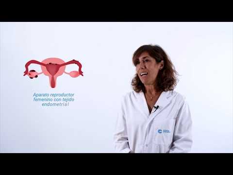 Judit Gil Cuevas-9
