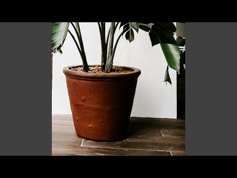 Money Matters Insurance Future