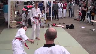 preview picture of video 'Horsens Martial Arts Centre Demo on Sports & Spare Time in Horsens, Denmark'