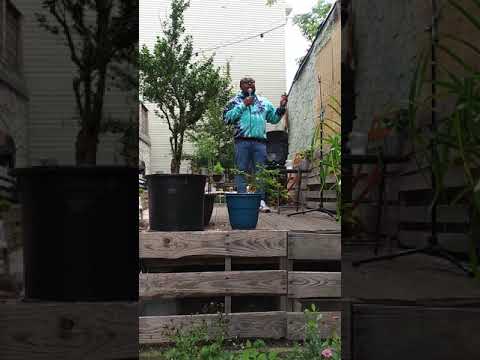 Clean comedy