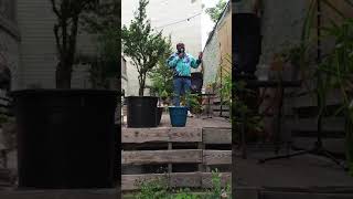 Clean comedy