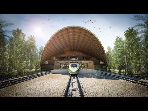 A Railway Across the Mexican Jungle