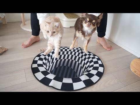 動画 うにちゅーぶ 視聴回数が多い順 可愛すぎる女の子の動画