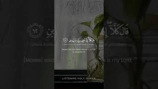 Download lagu Surah Ash-Shu'ara Ayat 62 l Mishary Rashid Alafasy #Shorts mp3 Download lagu Surah Ash-Shu'ara Ayat 62 l Mishary Rashid Alafasy #Shorts mp3