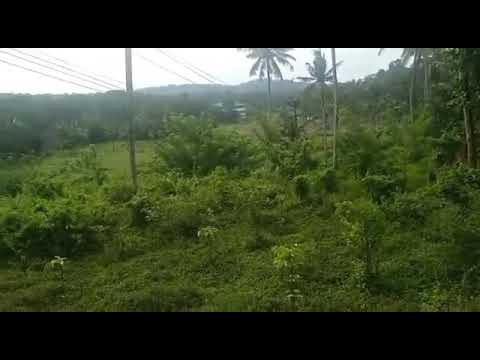 11.5 acre land for sale near Kuruwa island with water view