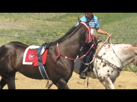EL MARTILLO - GRUPO LABERINTO