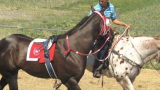 EL MARTILLO - GRUPO LABERINTO