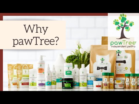 Why pawTree? - pawTree Holistic Pet Food - Healthy Dog Food Company - Best Dog Food for Shih Tzu