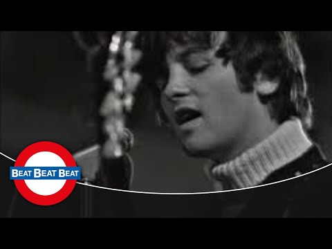 The Mindbenders - A Groovy Kind Of Love (1966)