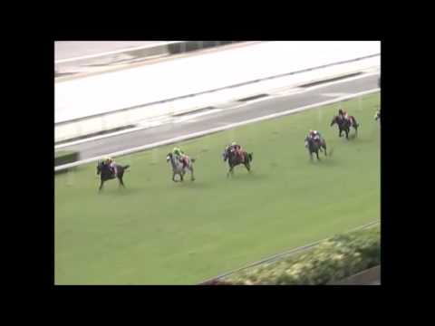 DANPAOSHAQ - 2015 Macau Jockey Club of Turkey Goodwill Cup