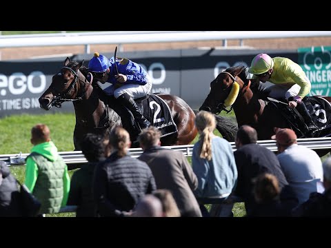 Köln: Preis des Winterfavoriten 2022 Sieger: Fantastic Moon