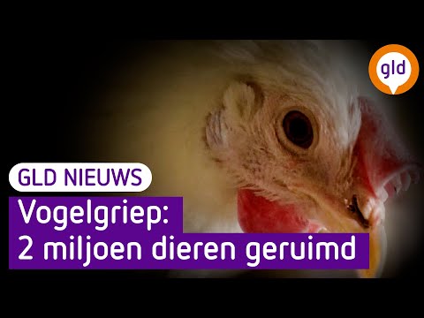 GLD Nieuws 24 oktober 2022