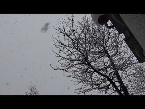 7 Bus Ascona-Locarno-Tenero March 2016