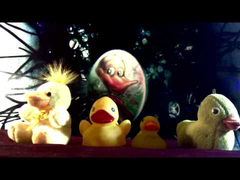 Crazy Ducks- Duckylicious