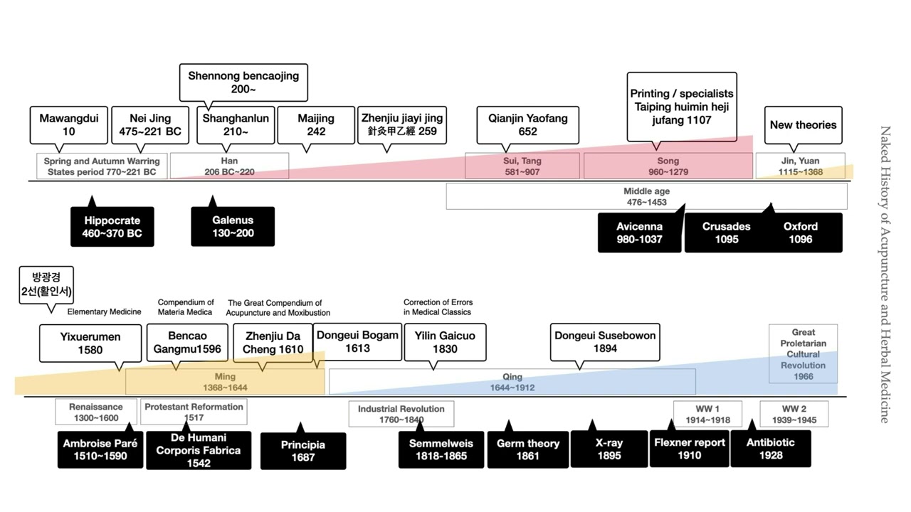 A Brief History of Traditional Chinese Medicine