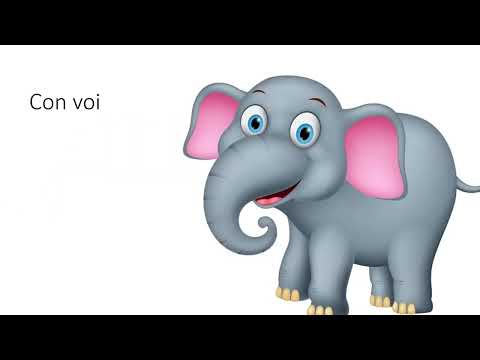 How to use the classifier CON in Vietnamese