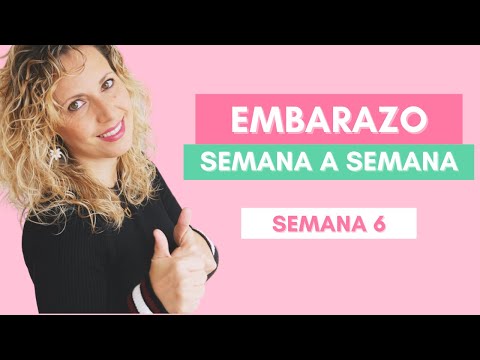 Semana 6 de EMBARAZO 😊. EMBARAZO SEMANA A SEMANA.