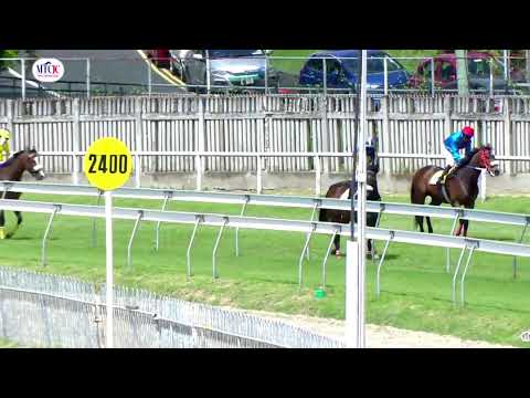 Hippisme : Suivez en direct la 4e course de la 15ème journée de course au Champ de Mars.