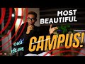 OAU Ile-Ife has the Most Beautiful Campus, here’s why!
