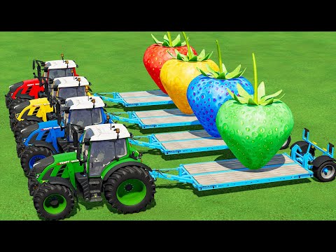 TRANSPORTING & LOAD COLOR STRAWBERRY WITH COLORED J.DEERE TRACTORS to GARAGE! #26