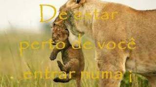 LEÃOZINHO, Caetano Veloso