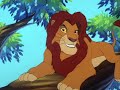 Simba är Her För Att Få Blöjan Bytt Swedish Svenska