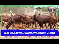 WAFUGAJI WAUWAWA WAZIKWA ZIZINI